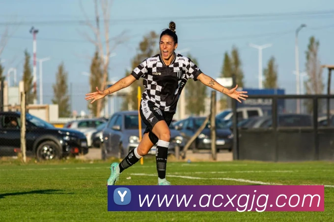 开云平台生态图