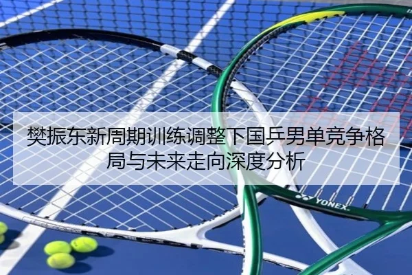 樊振东新周期训练调整下国乒男单竞争格局与未来走向深度分析